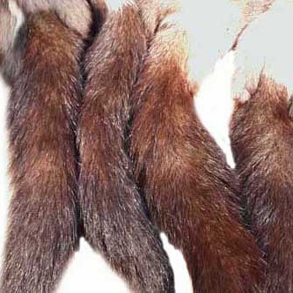 SHAWL, RUSSIAN SQUIRREL, 1957, GREY BACKS/WHITE BELLIES, EACH OF THE FOUR IS 28 - Picture 7 of 11
